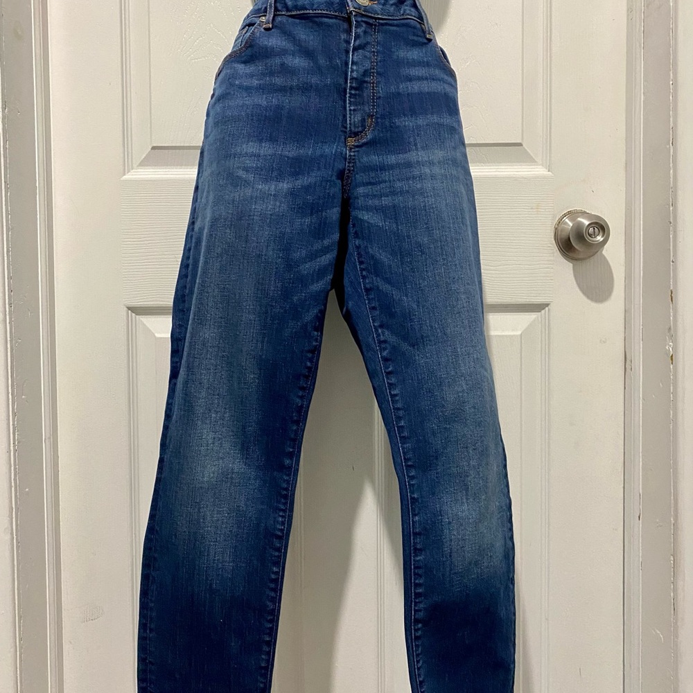 Ann Taylor Loft Blue Jeans